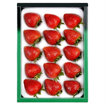 【約350g】博多 あまおう SA-50CK