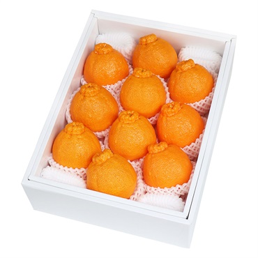 【約3ｋg】熊本　デコポン DP-12CK