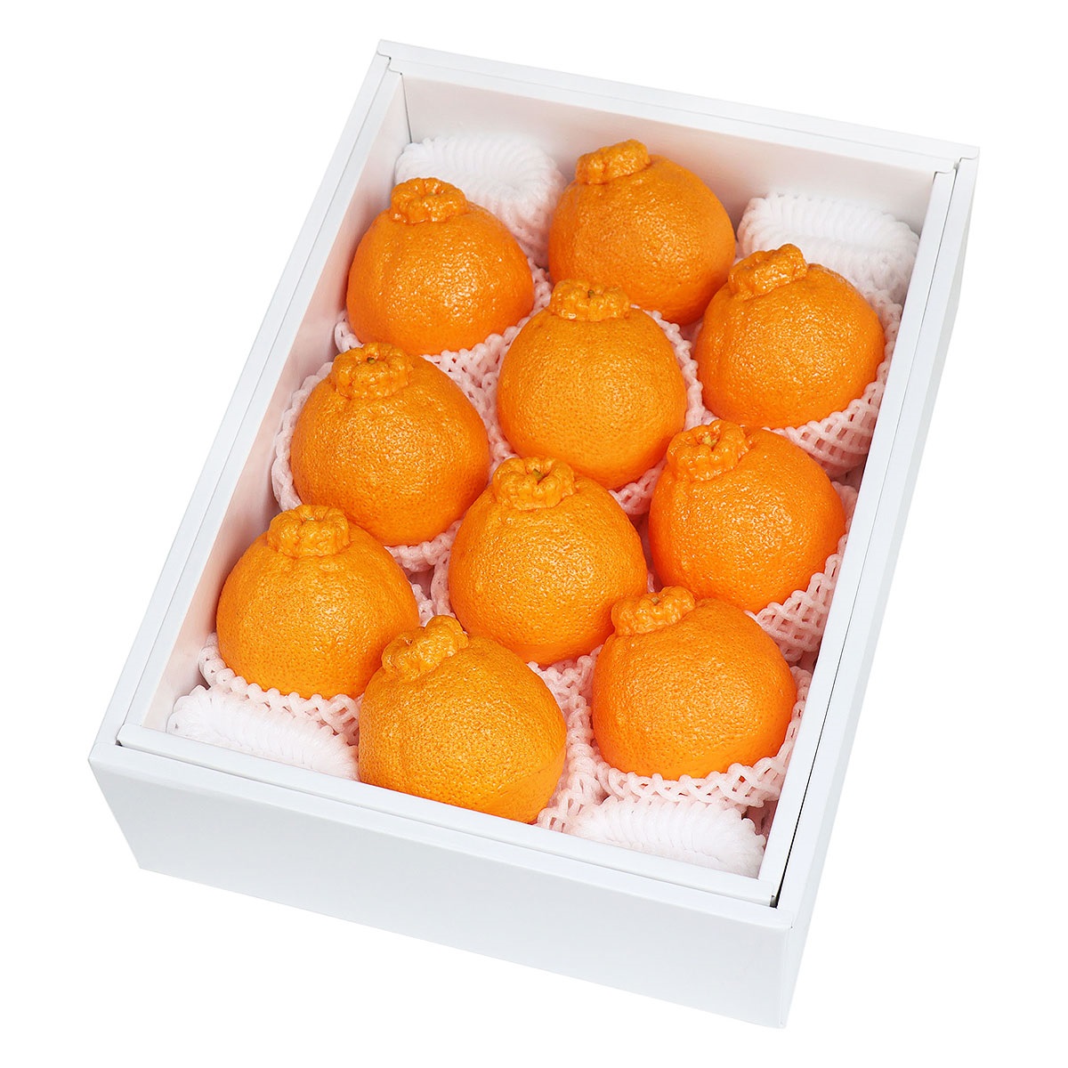 【約3ｋg】熊本　デコポン DP-12CK