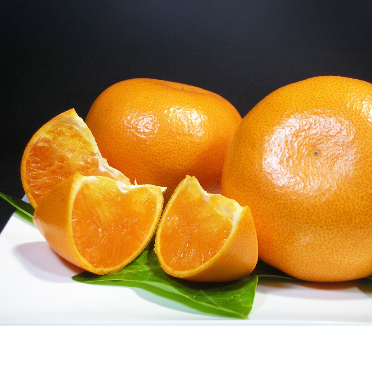 【約３ｋg】せとか STK-１５CK