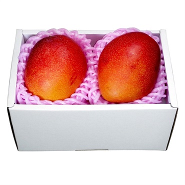 【約４００g】宮崎マンゴー MMG-70CK