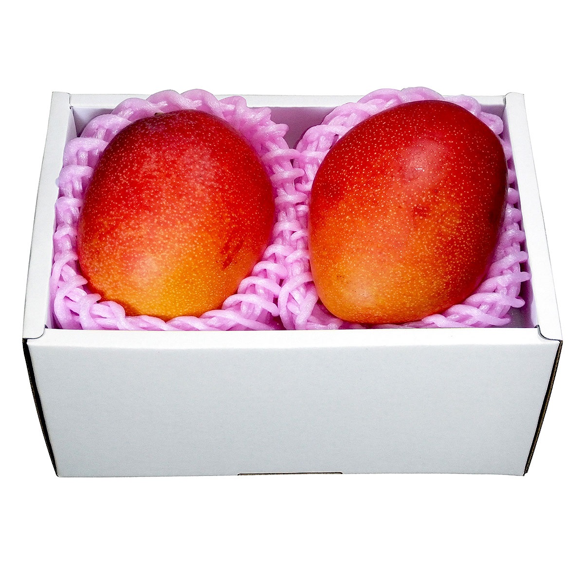 【約４００g】宮崎マンゴー MMG-70CK