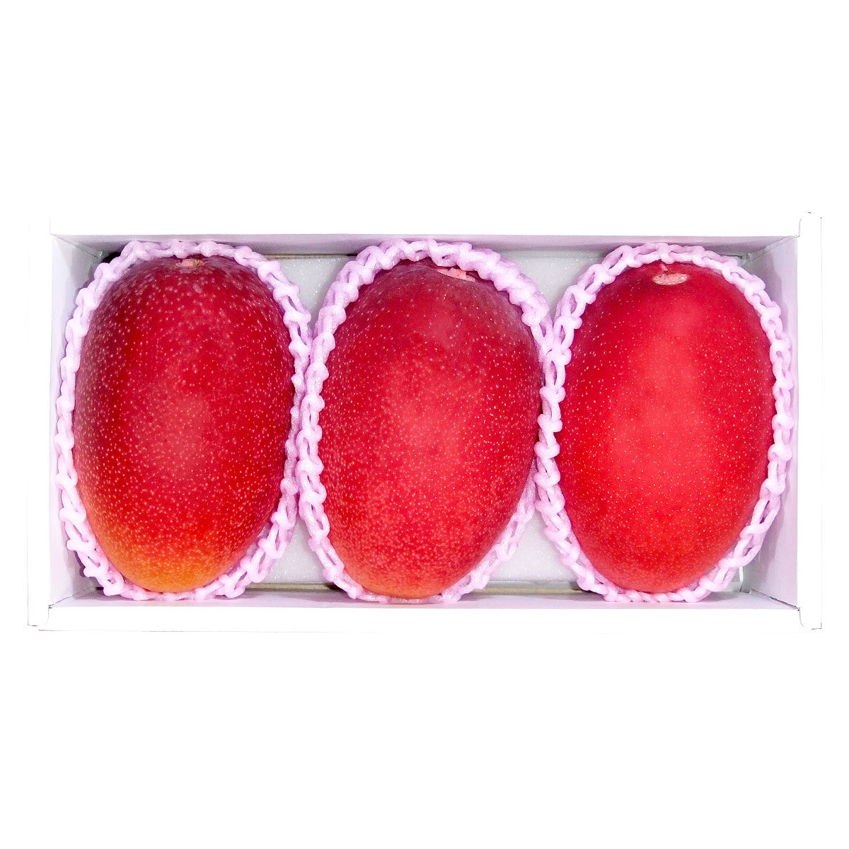 【約800g】宮崎マンゴー MMG-１４CK