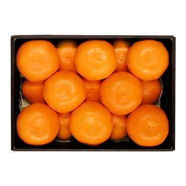 【約1.5ｋg】ハウスみかん KOM-６５CK