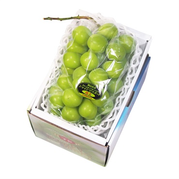 【約600g】シャインマスカット SYMｰ１０CK