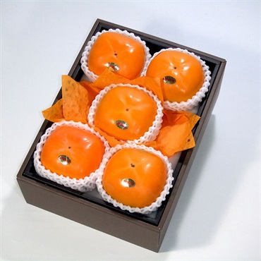 【約1ｋg】富有柿 FYKー５０CK