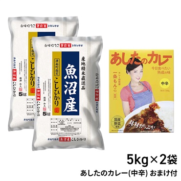 魚沼産 こしひかり サマーフェスセット