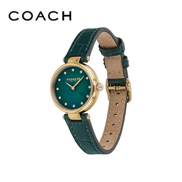 コーチ　ＰＡＲＫ　レディース腕時計　GREEN MOTHER OF PEARL　14503534