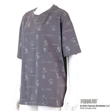 グレー ３Ｌ の画像