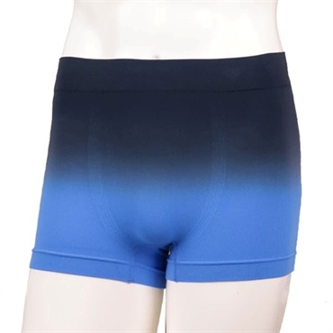 ディープブルー Ｌ の画像