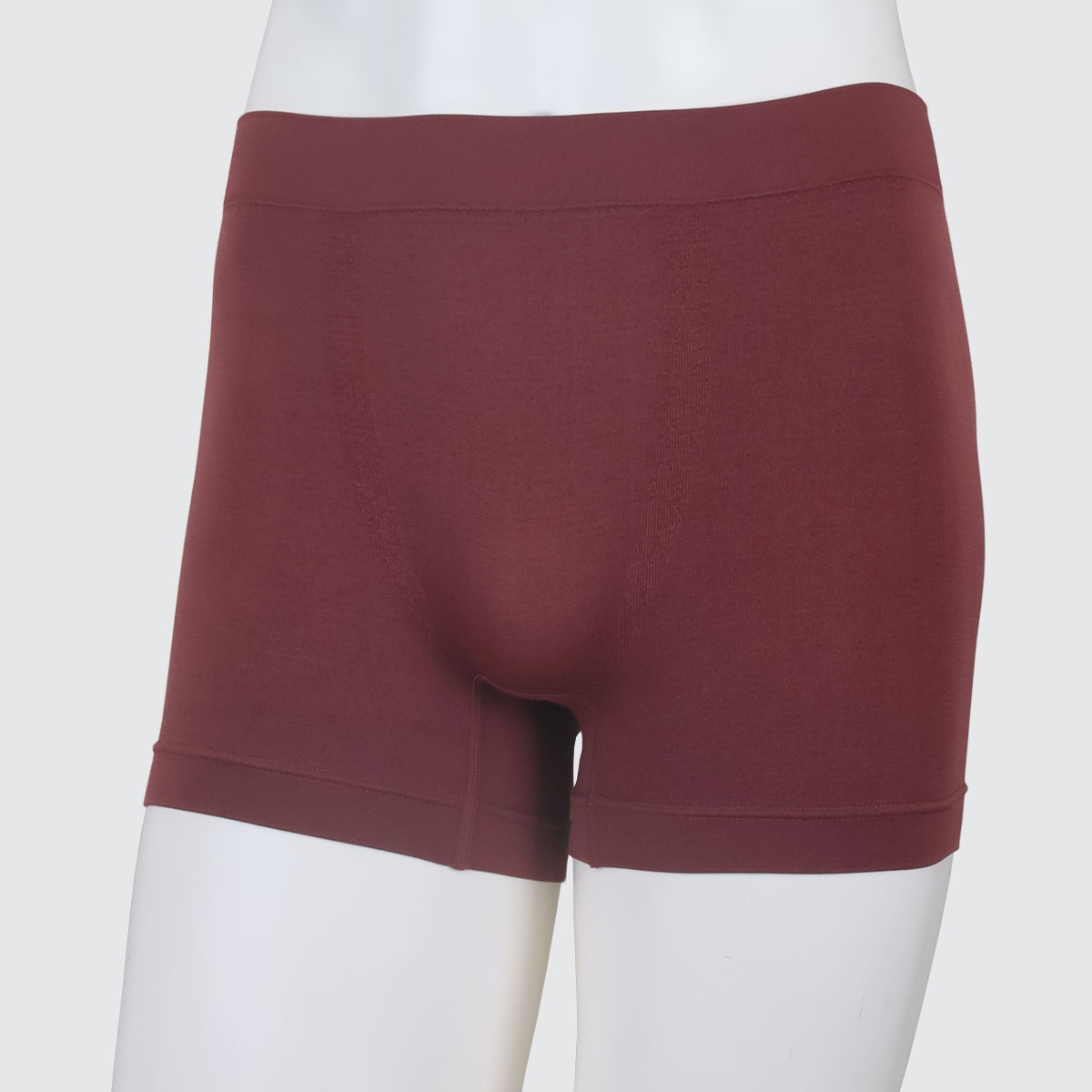 パンテク研究所　ストレッチボクサー【合計5500円(税込)以上で送料100円対象品】