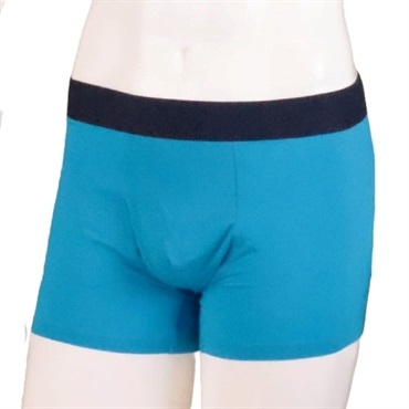 スカイブルー ＬＬ の画像