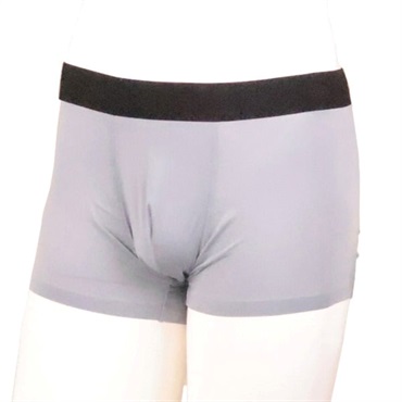 グレー ＬＬ の画像