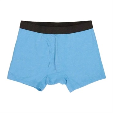 サックス（水色） Ｌ の画像