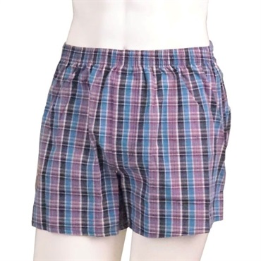 モモ Ｌ の画像