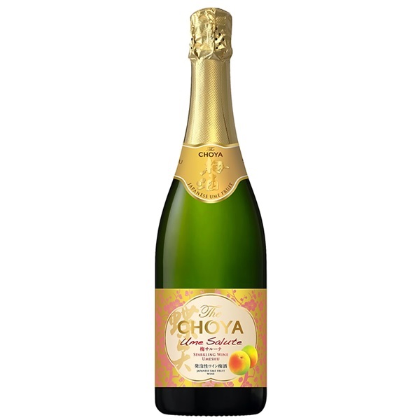 CHOYA The CHOYA 梅サルーテ 発泡性ワイン梅酒 750ml