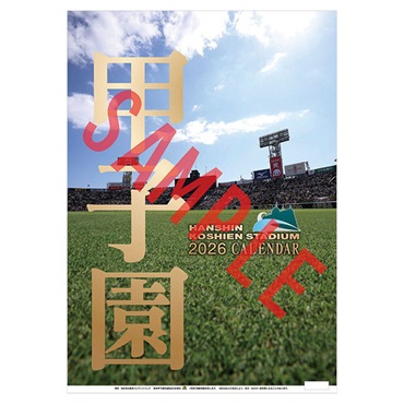 トライエックス　カレンダー　甲子園球場　ＣＬー５８７