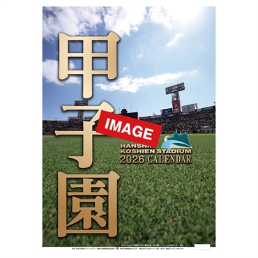 トライエックス　阪神甲子園球場　27CL-587