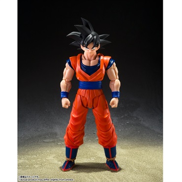 S.H.Figuarts 孫悟空〈心優しきサイヤ人〉