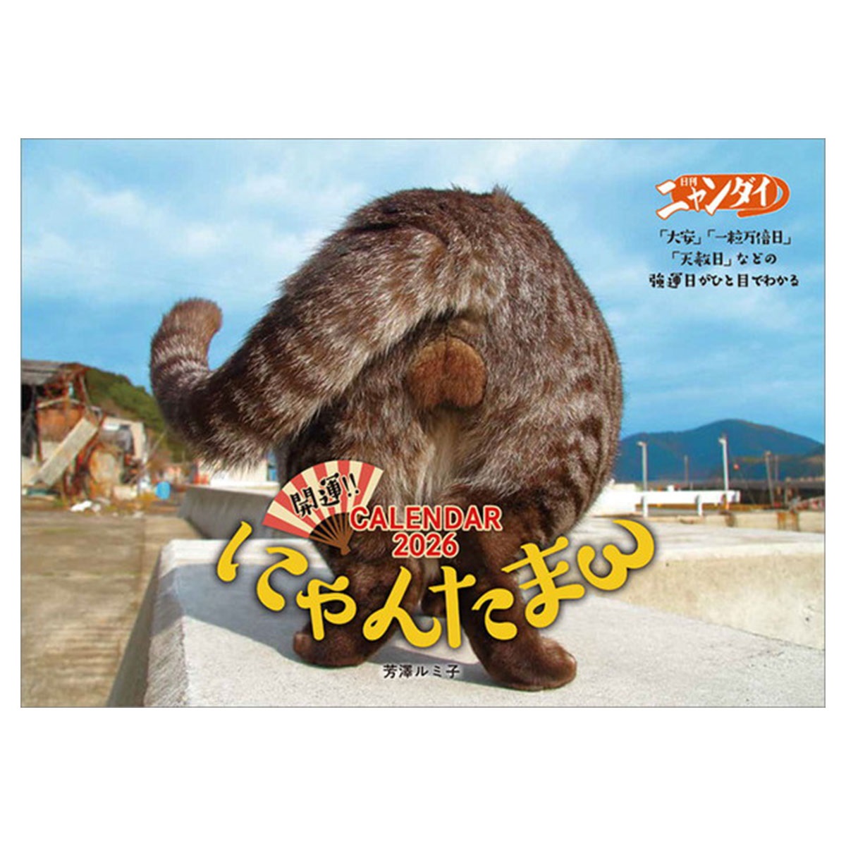 トライエックス　カレンダー　にゃんたまカレンダー２０２６／芳澤ルミ子　ＣＬー３９５
