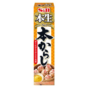 エスビー食品 本生 本からし 43g　【合計5500円(税込)以上で送料100円対象品】