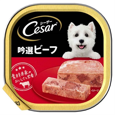 シーザー　吟選ビーフ　100g