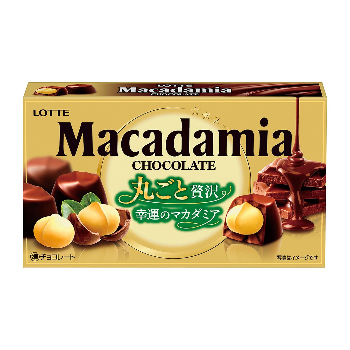 ロッテ マカダミアチョコレート 9粒入