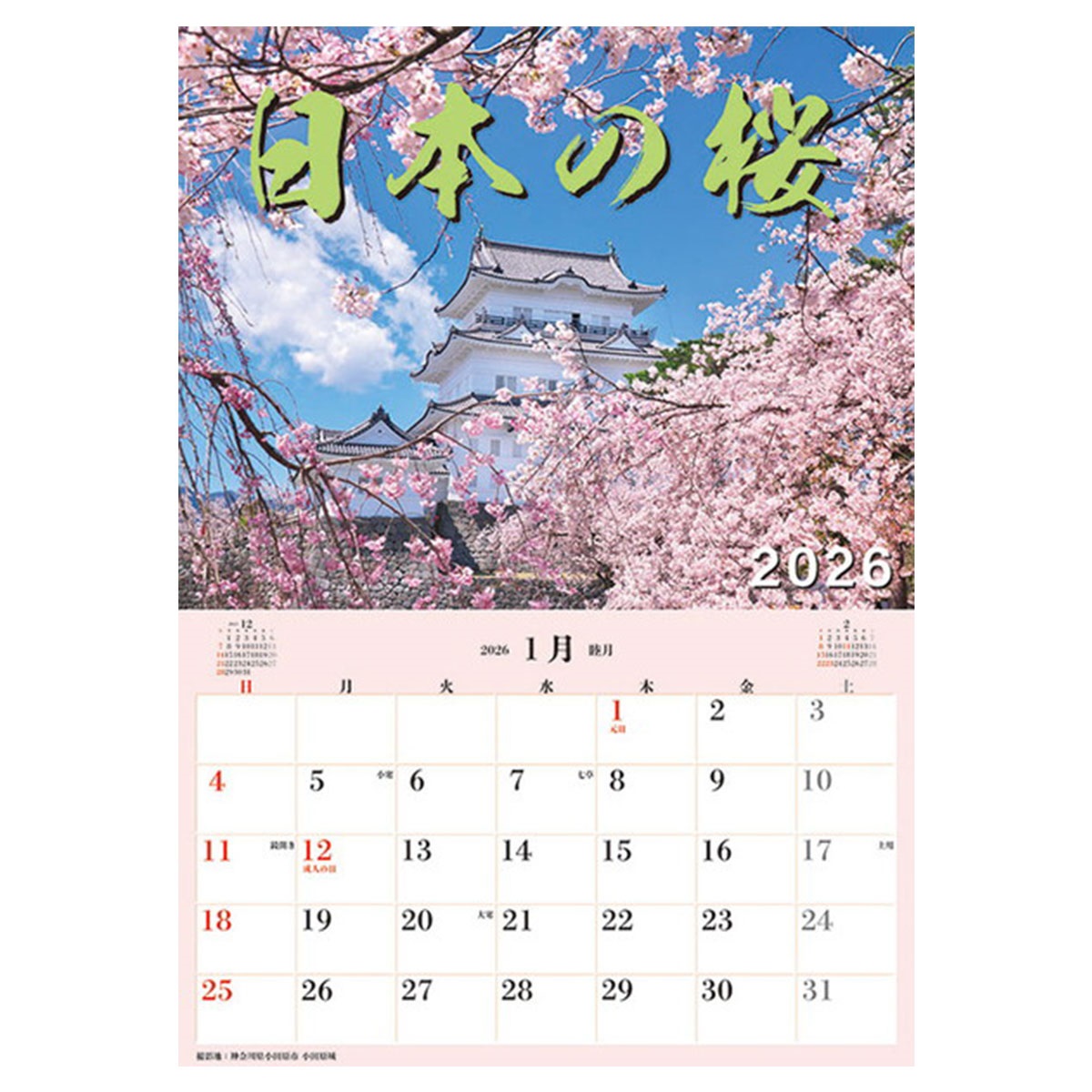 トライエックス　カレンダー　ジャンボ「日本の桜」スケジュール　ＣＬー４７１