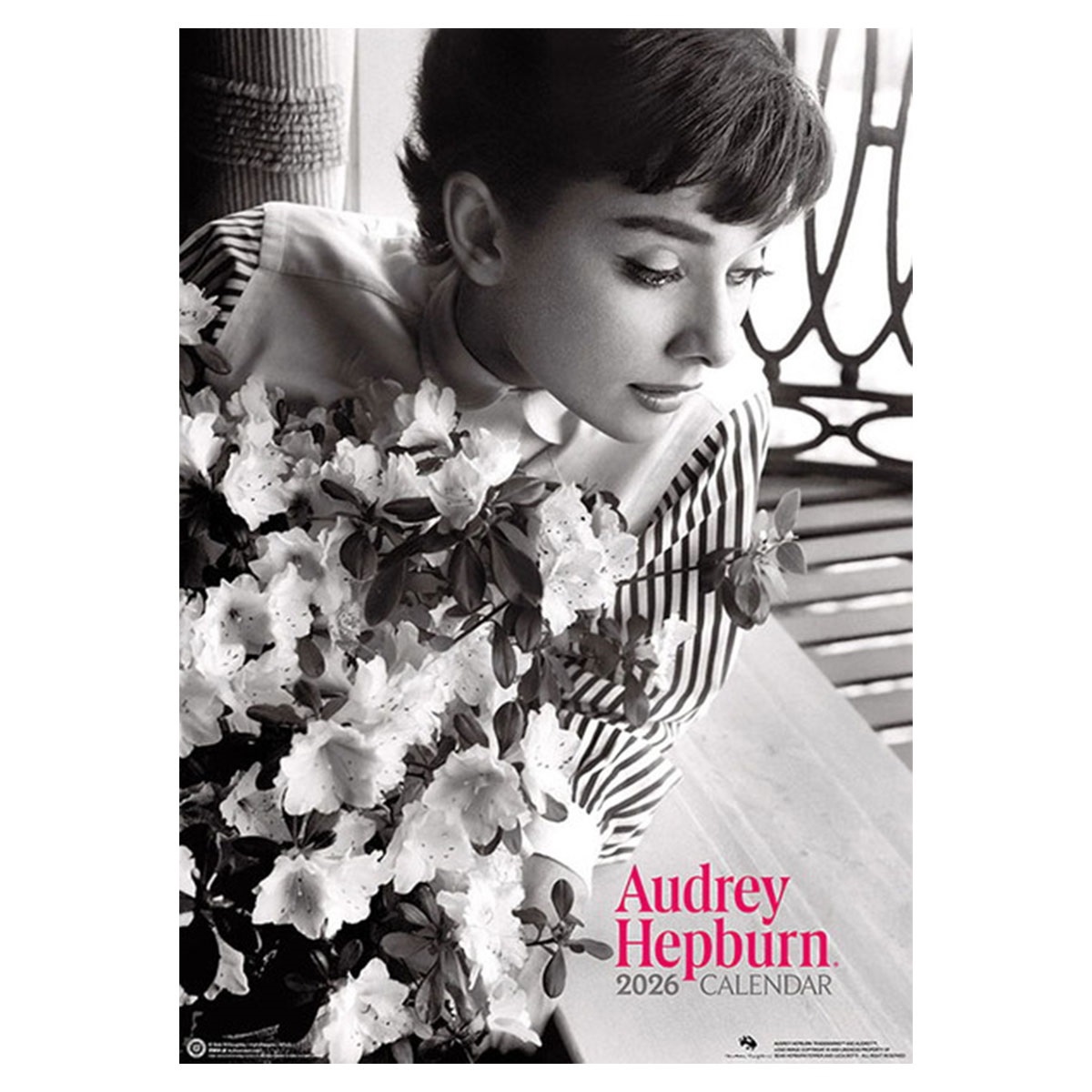 トライエックス　カレンダー　オードリー・ヘプバーン　ＣＬー３４１