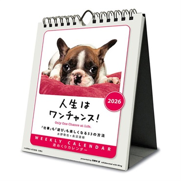 トライエックス　カレンダー　人生はワンチャンス！　卓上／壁掛　ＣＬー３８３