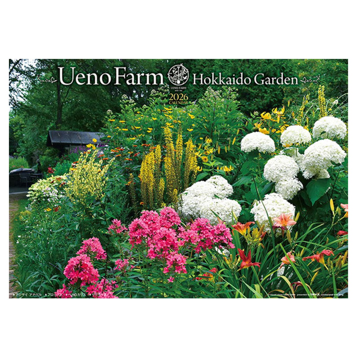 トライエックス　カレンダー　上野ファーム　北海道ガーデン　ＣＬー４７８
