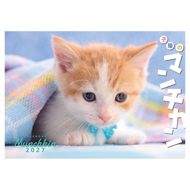 トライエックス　子猫のマンチカン　27CL-382
