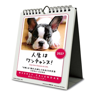 トライエックス　人生はワンチャンス！ 卓上/壁掛　27CL-383