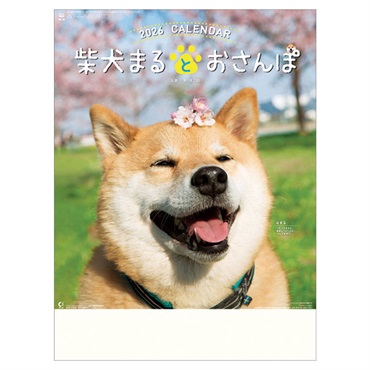 トライエックス　カレンダー　柴犬まるとおさんぽ　ＣＬー３９３