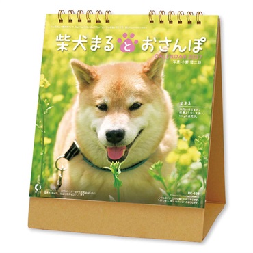 トライエックス　卓上 柴犬まるとおさんぽ　27CL-394