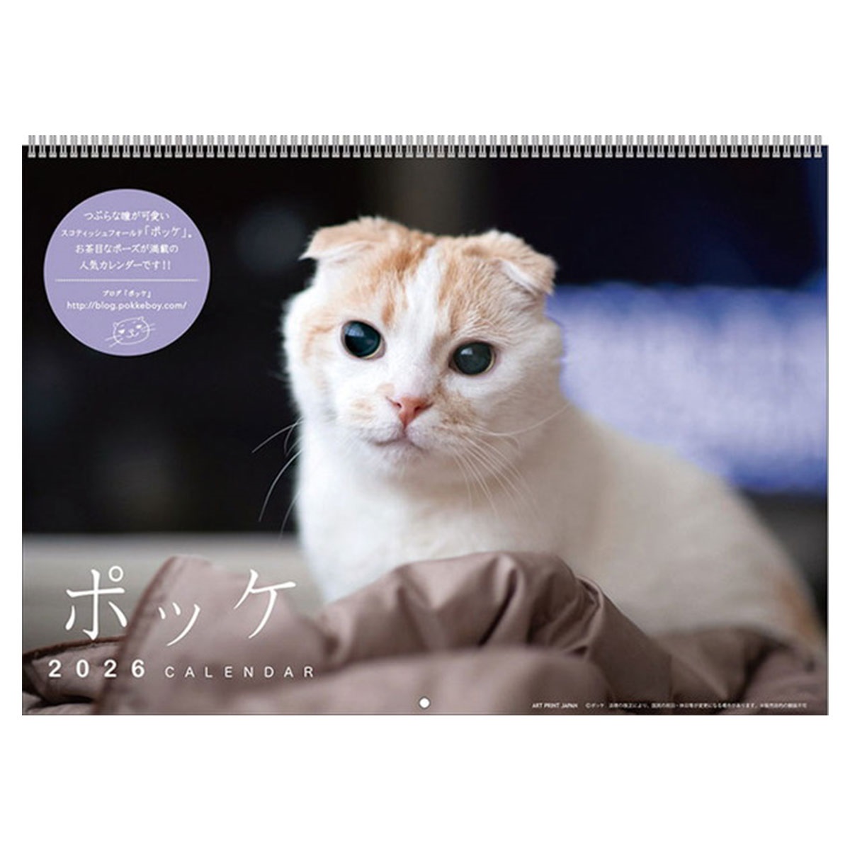 トライエックス　カレンダー　ポッケ　ＣＬー３９２