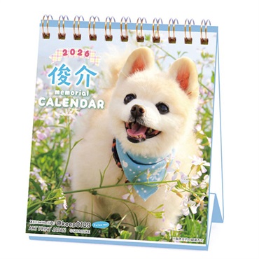 トライエックス　カレンダー　俊介　週めくりミニ　ＣＬー３８９