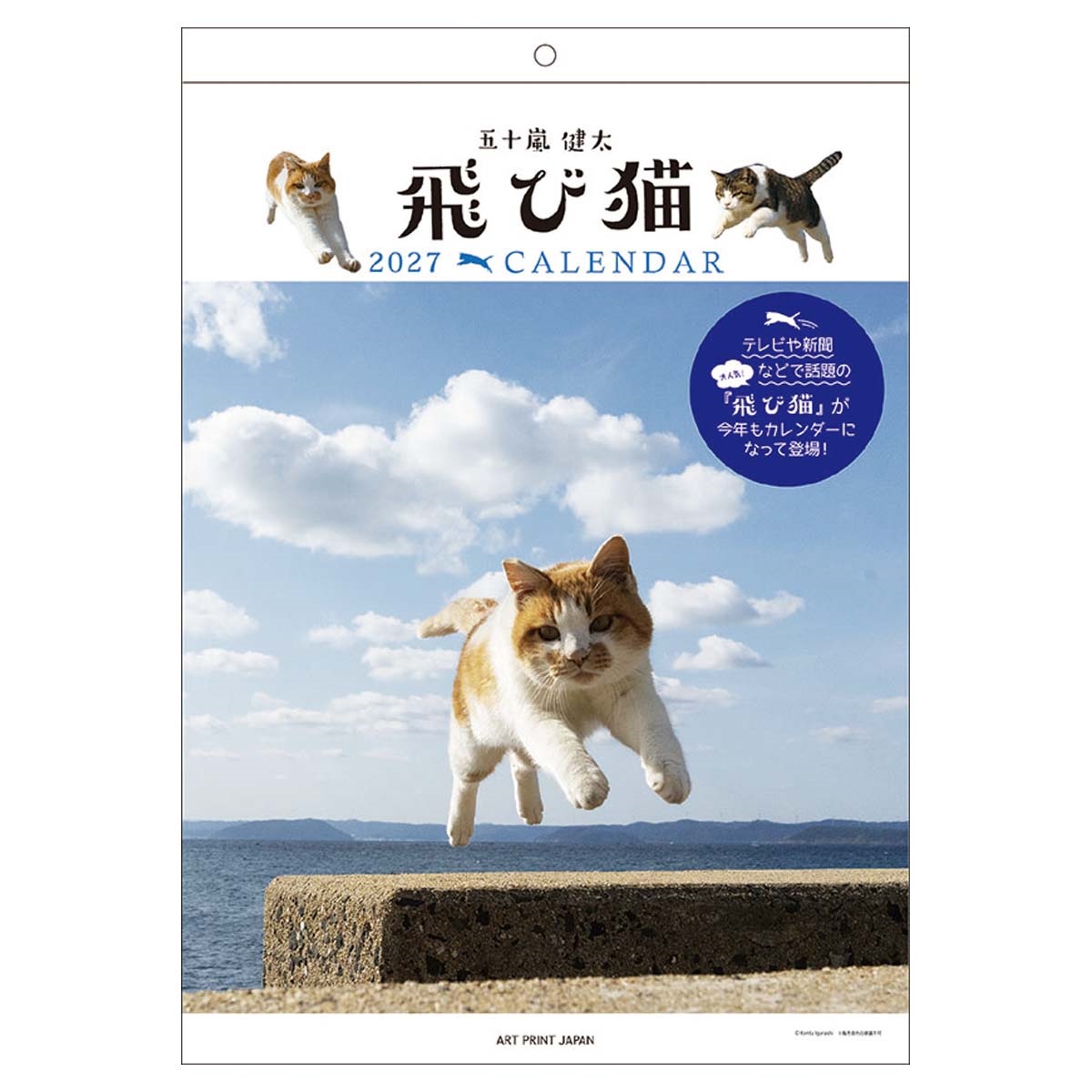 トライエックス　飛び猫　27CL-402