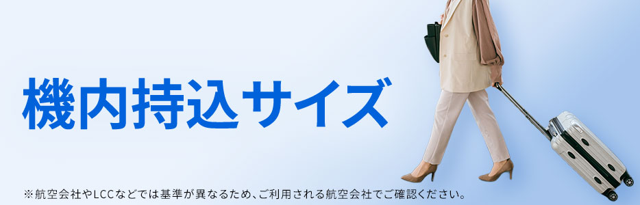 機内持ち込みサイズ