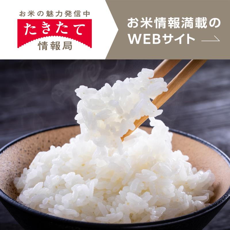 たきたて情報局