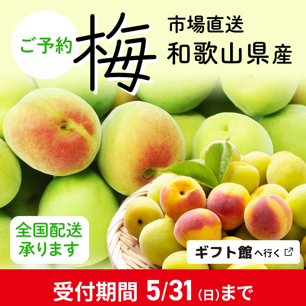 梅ギフト