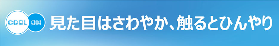 クールオン中敷きカーペット・クッション