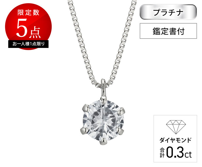 24金チャールズ国王ペガサス 1/10オンスコイン・18金チェーン枠 ネックレス