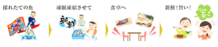採れたての魚を凍眠凍結させて食卓へ 新鮮！旨い！