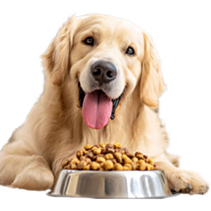 わんちゃん用フード