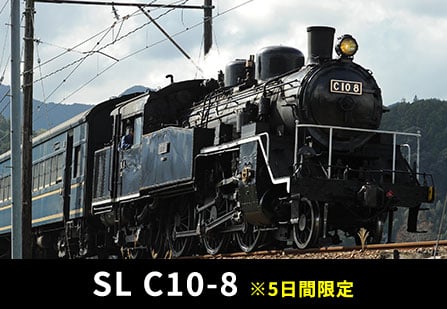 SL C10-8 ※5日間限定