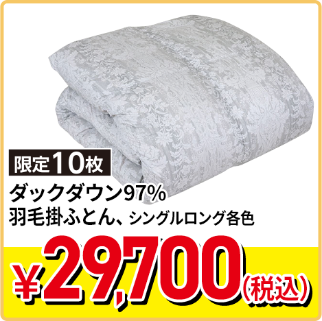 ダックダウン90% 羽毛掛ふとん シングルロング各色