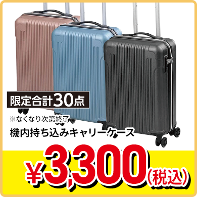 機内持ち込みキャリーケース