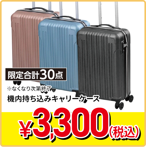 機内持ち込みキャリーケース