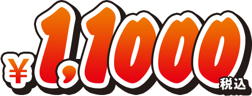 11,000円（税込）